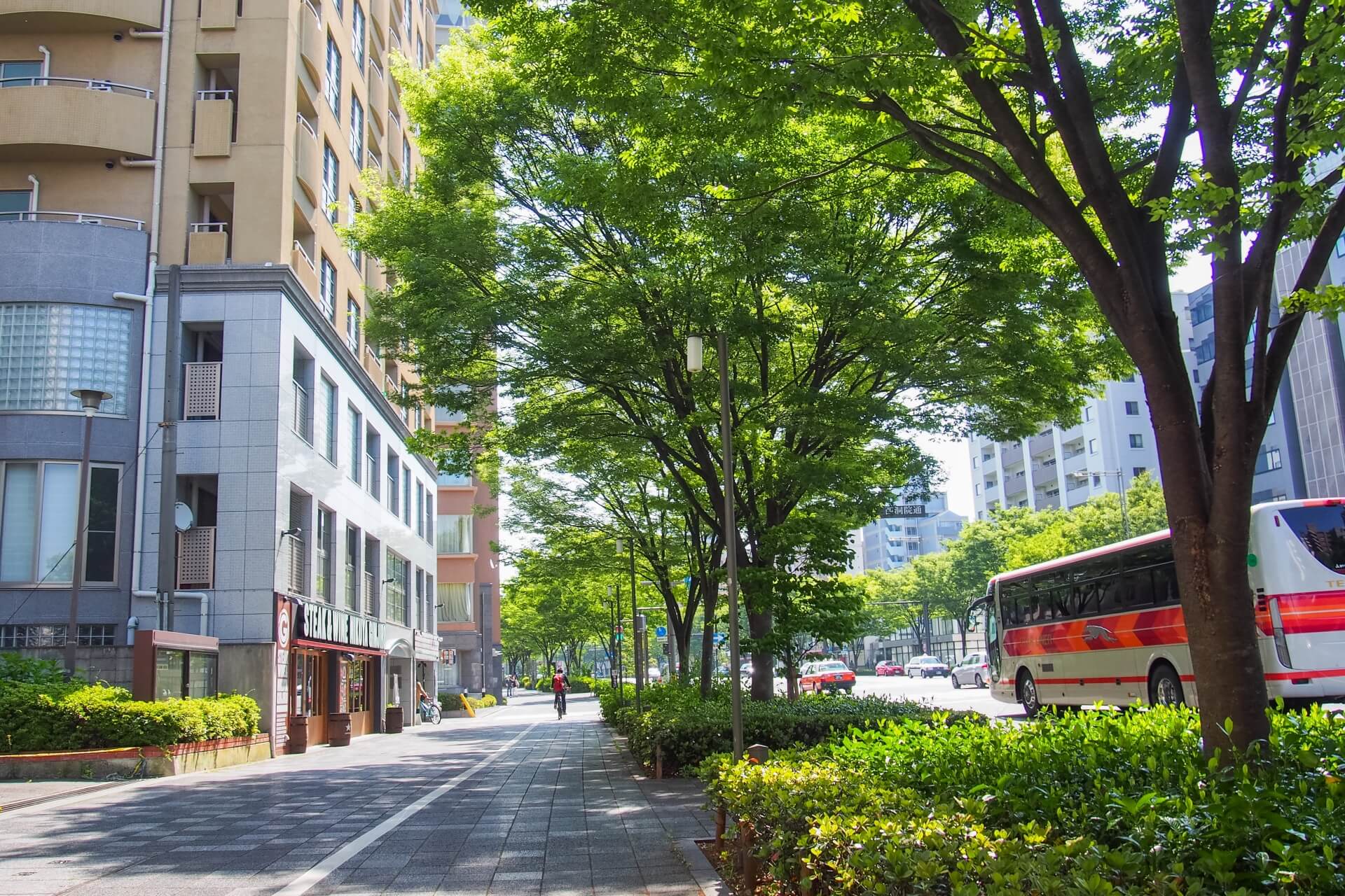 【解説/テンプレ付】自動車事業に欠かせない日常点検表